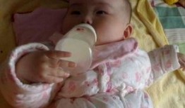 我抱奶瓶吃瓜免费阅读